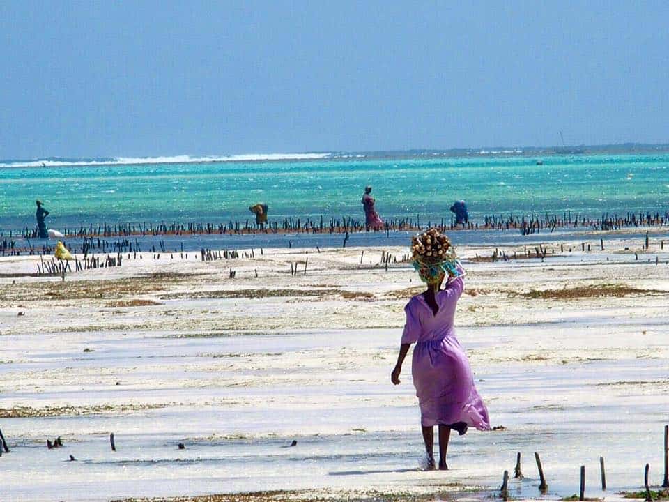 Jambiani - Reisroute - Zanzibar