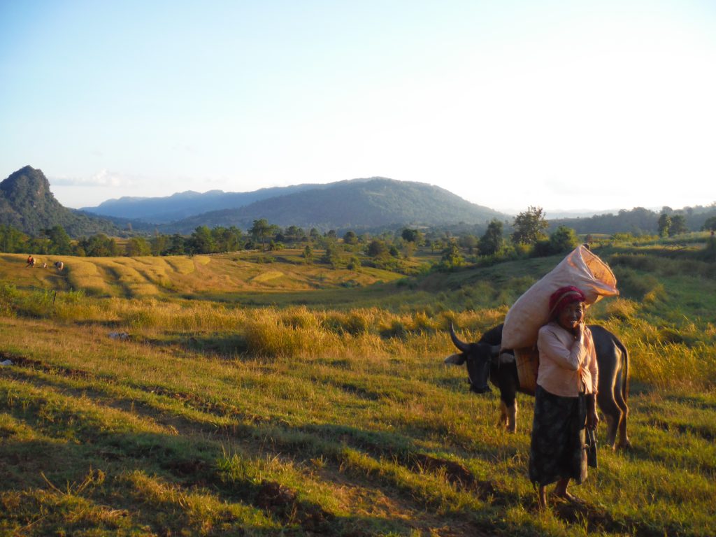 Kalaw hike reisroute Myanmar