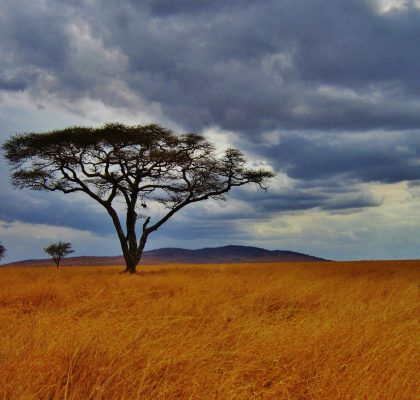 Serengeti - Reisroute Tanzania1