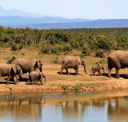 Serengeti - Reisroute Tanzania2 (2)