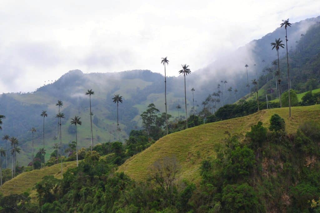 Salento Cocora Valley - Colombia rondreisroute